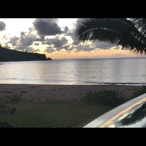 Meet your Posher, Brinley